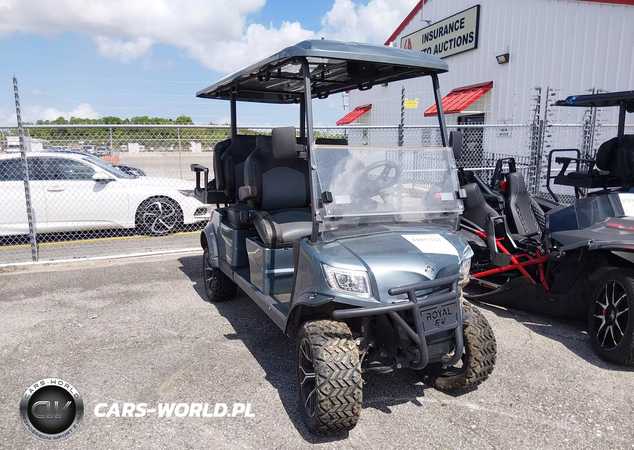 2023 Royal Electric Lsv Golf Cart – zdjęcie 1 z 12
