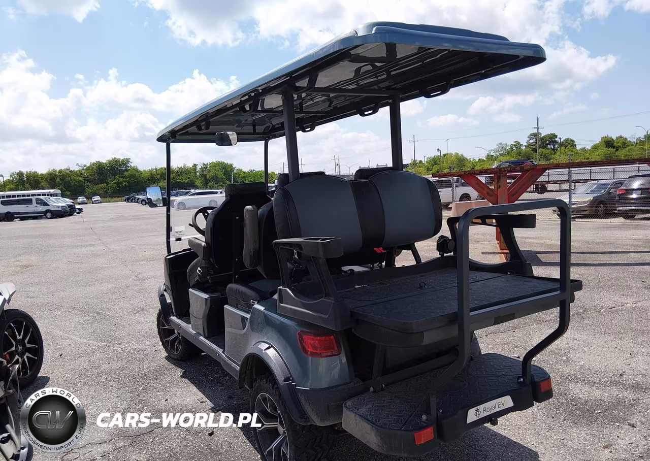 2023 Royal Electric Lsv Golf Cart VIN:7NJRGB1D8PH003448 - 3
