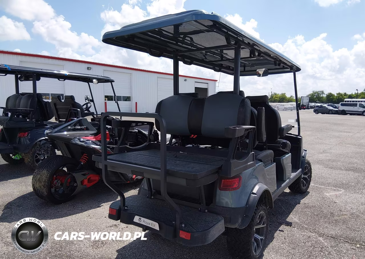 2023 Royal Electric Lsv Golf Cart VIN:7NJRGB1D8PH003448 - 4