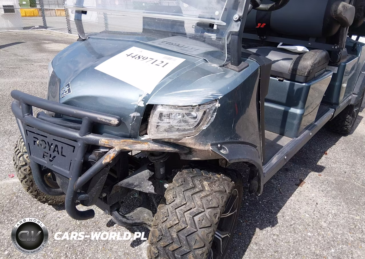 2023 Royal Electric Lsv Golf Cart VIN:7NJRGB1D8PH003448 - 6