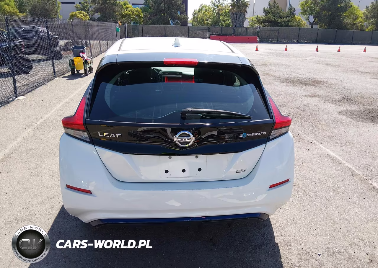 2018 Nissan Leaf Sv VIN:1N4AZ1CP4JC302177 - 17