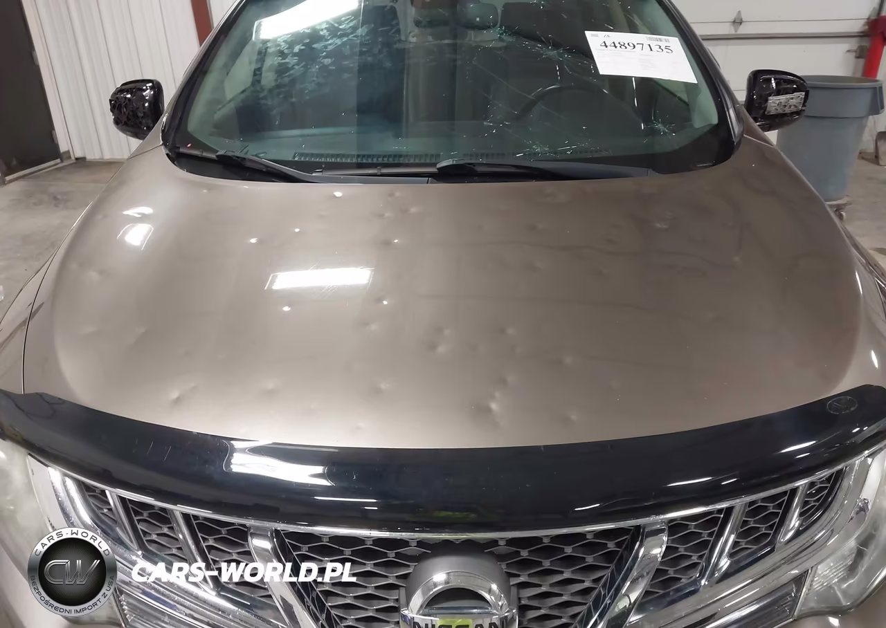 2013 Nissan Murano Sl VIN:JN8AZ1MW8DW310354 - 6