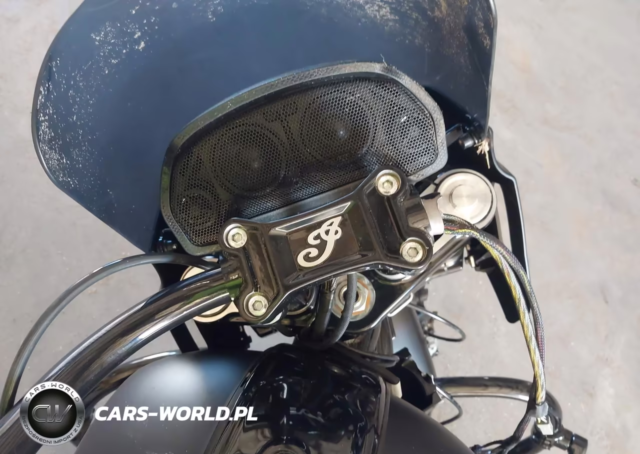 2025 Indian Motorcycle Co. Sport Chief Rt VIN:56KDTDBH8S3020947 - 7
