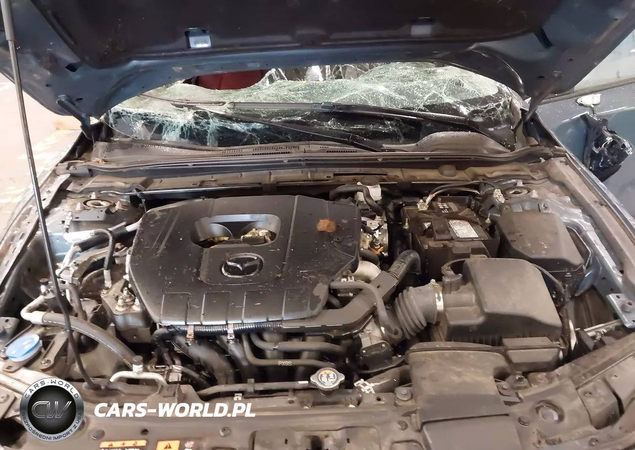 2023 Mazda Mazda3 2.5 S Carbon Edition VIN:3MZBPACM5PM366713 - 10