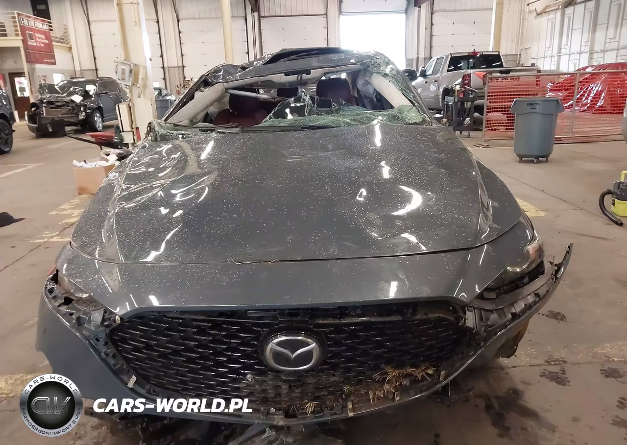 2023 Mazda Mazda3 2.5 S Carbon Edition VIN:3MZBPACM5PM366713 - 12