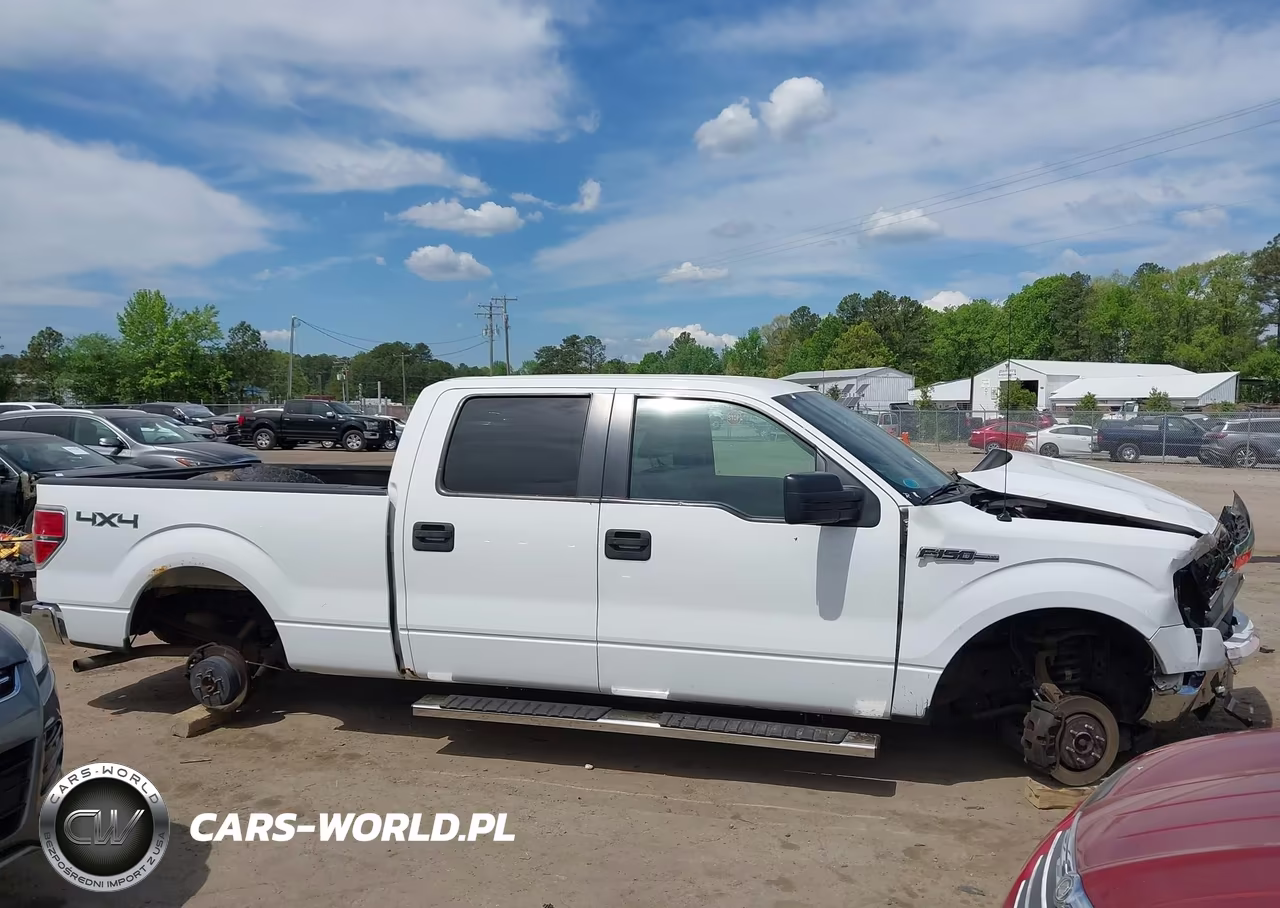 2010 Ford F-150 Xl-Xlt VIN:1FTFW1E87AFA75841 - 13