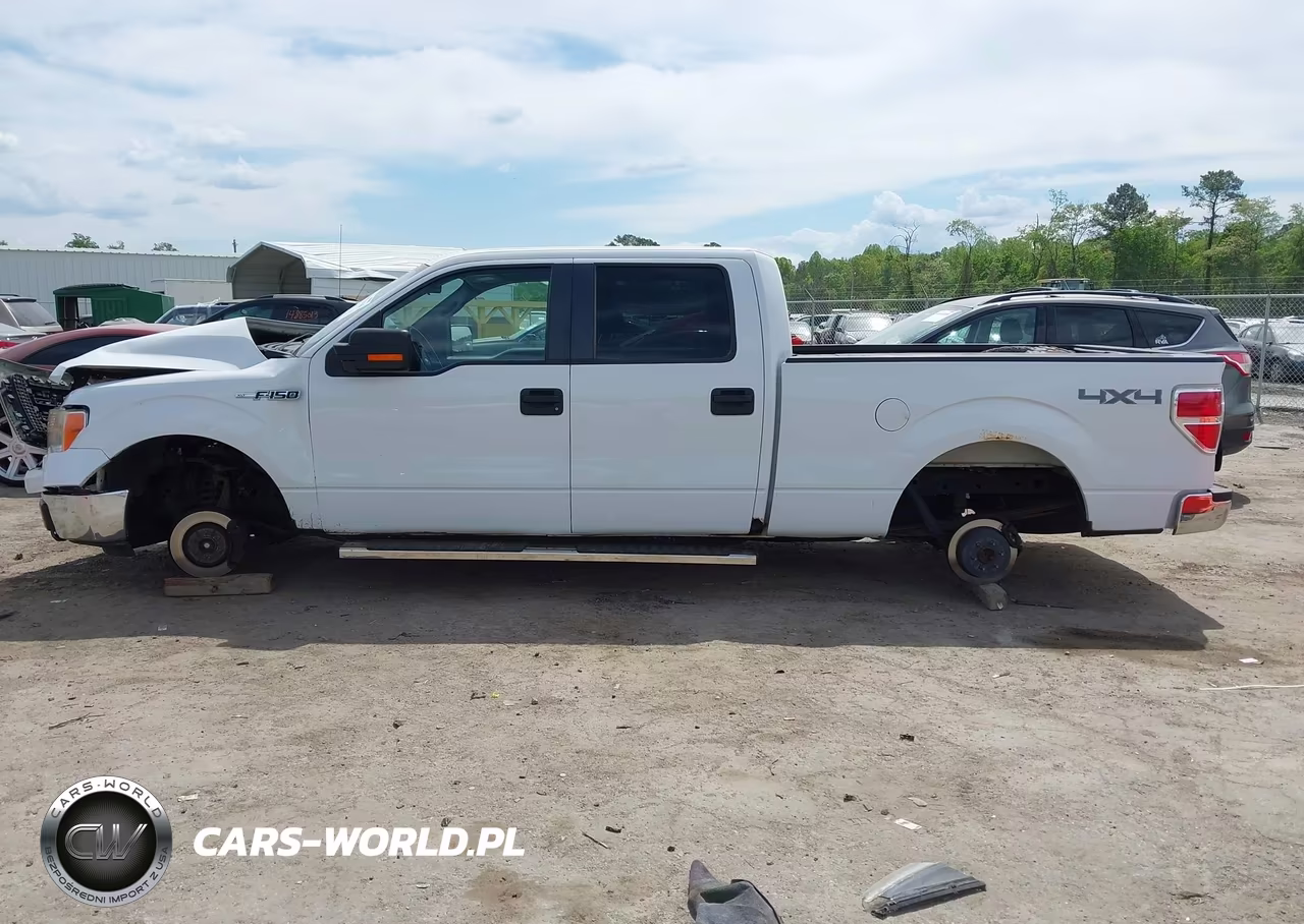 2010 Ford F-150 Xl-Xlt VIN:1FTFW1E87AFA75841 - 14