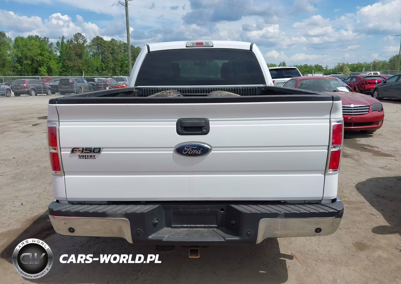 2010 Ford F-150 Xl-Xlt VIN:1FTFW1E87AFA75841 - 16