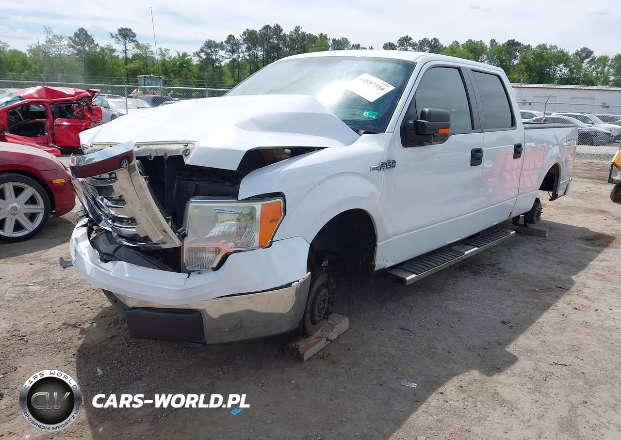 2010 Ford F-150 Xl-Xlt VIN:1FTFW1E87AFA75841 - 2