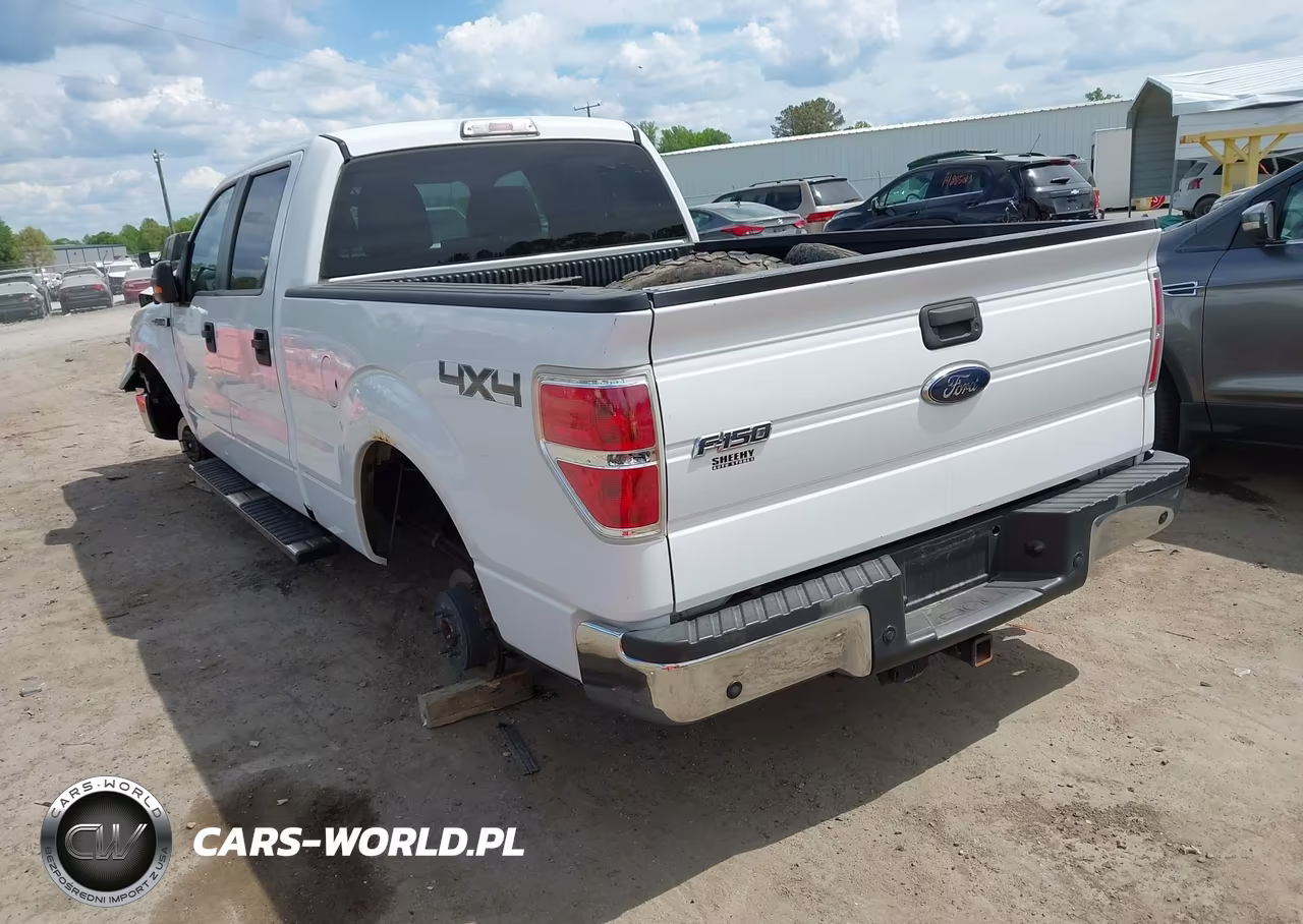 2010 Ford F-150 Xl-Xlt VIN:1FTFW1E87AFA75841 - 3