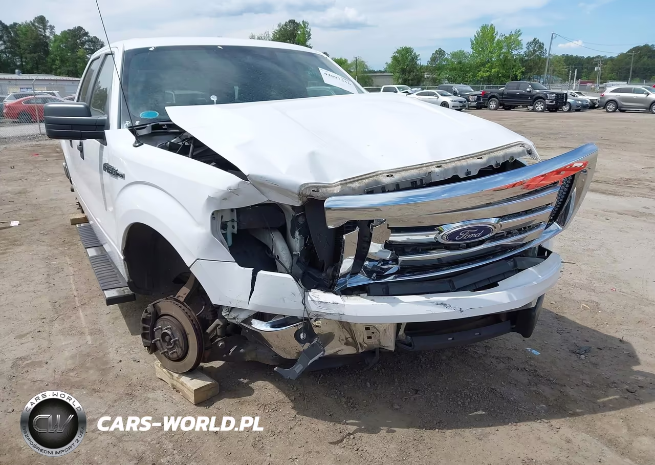 2010 Ford F-150 Xl-Xlt VIN:1FTFW1E87AFA75841 - 6