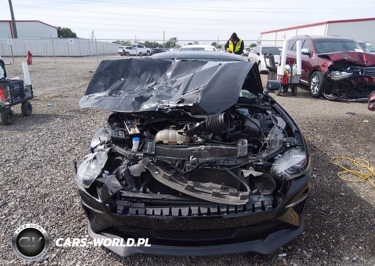 2021 Ford Mustang Gt Premium Fastback VIN:1FA6P8CF4M5119396 - 13