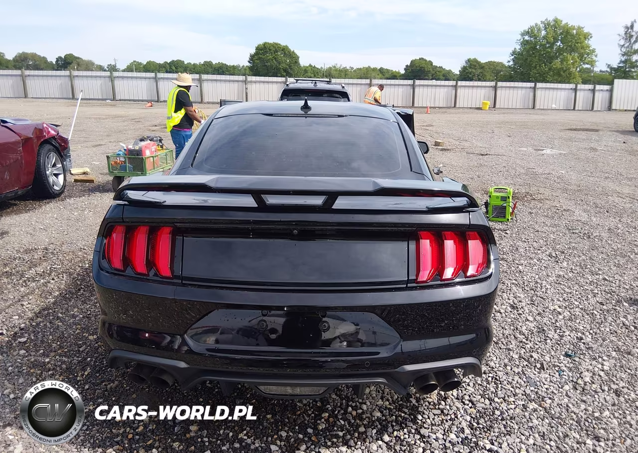 2021 Ford Mustang Gt Premium Fastback VIN:1FA6P8CF4M5119396 - 17
