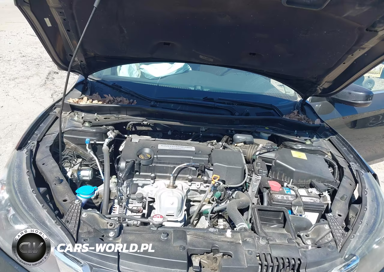 2014 Honda Accord Ex-L VIN:1HGCR2F86EA126622 - 10