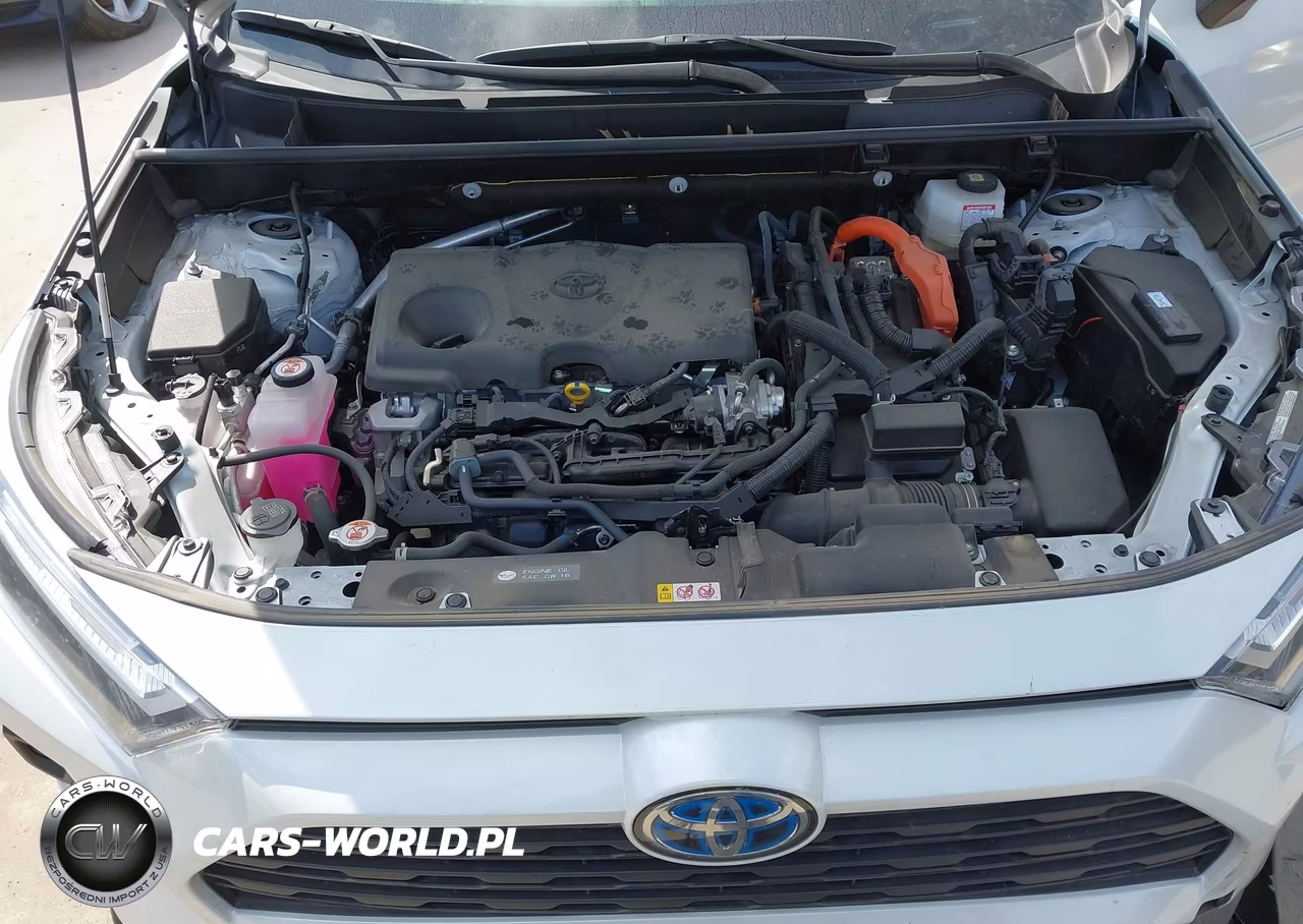 2024 Toyota Rav4 Hybrid Xle Premium VIN:JTMB6RFV6RJ061293 - 10