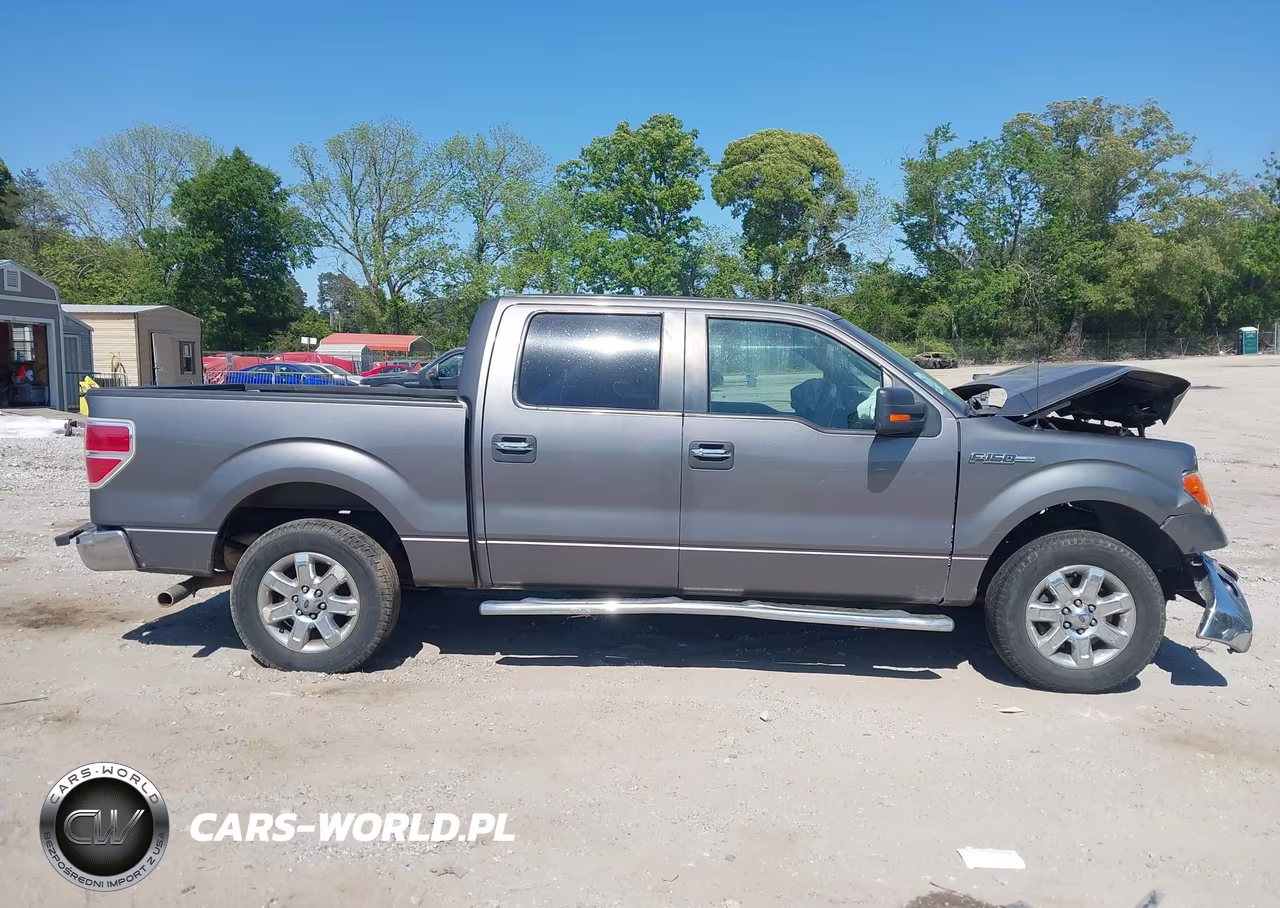 2013 Ford F-150 Xlt VIN:1FTEW1CM9DFC09393 - 14