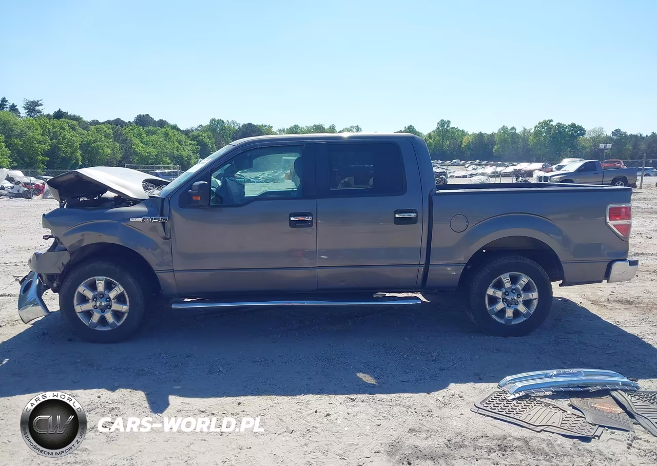 2013 Ford F-150 Xlt VIN:1FTEW1CM9DFC09393 - 15