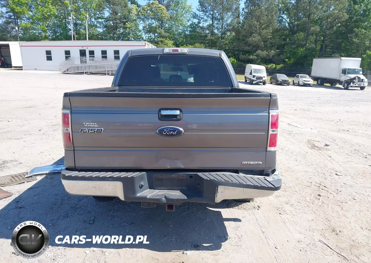 2013 Ford F-150 Xlt VIN:1FTEW1CM9DFC09393 - 17