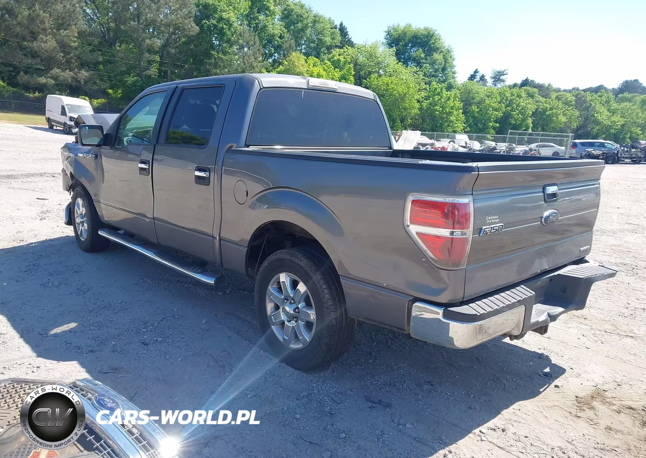 2013 Ford F-150 Xlt VIN:1FTEW1CM9DFC09393 - 3
