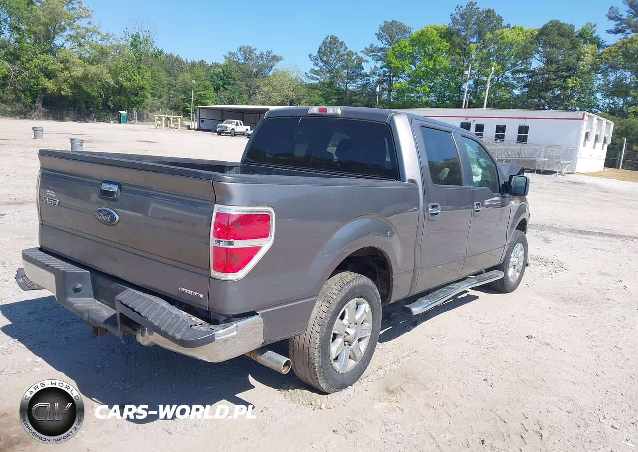 2013 Ford F-150 Xlt VIN:1FTEW1CM9DFC09393 - 4