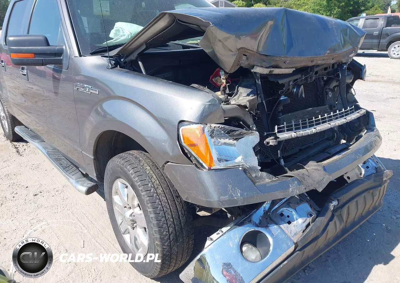 2013 Ford F-150 Xlt VIN:1FTEW1CM9DFC09393 - 6