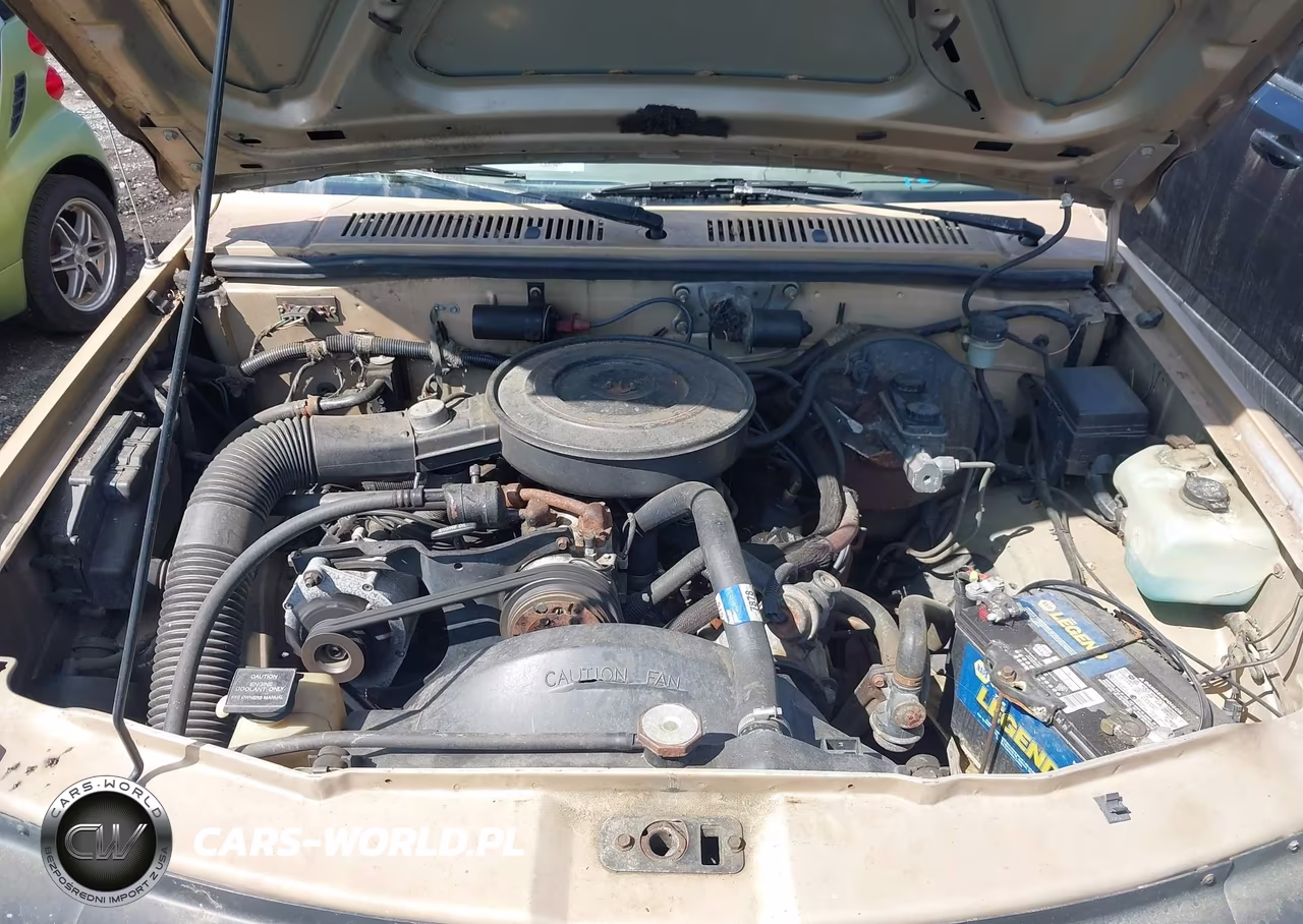 1991 Dodge Dakota VIN:1B7FL23XXMS306042 - 10