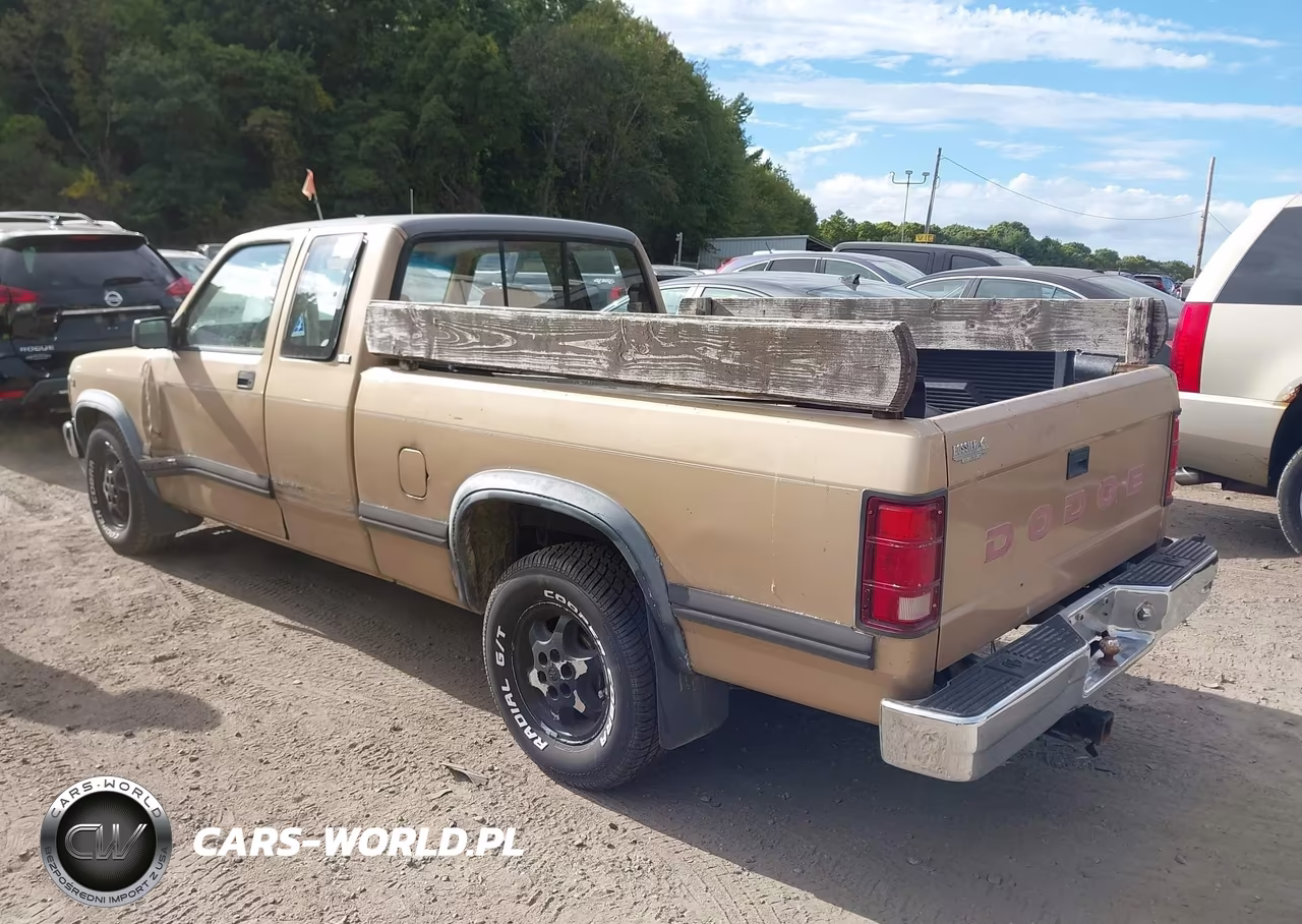 1991 Dodge Dakota VIN:1B7FL23XXMS306042 - 3