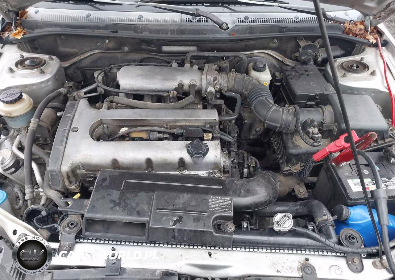 2004 Kia Spectra Gs-Gsx VIN:KNAFB161545140139 - 10