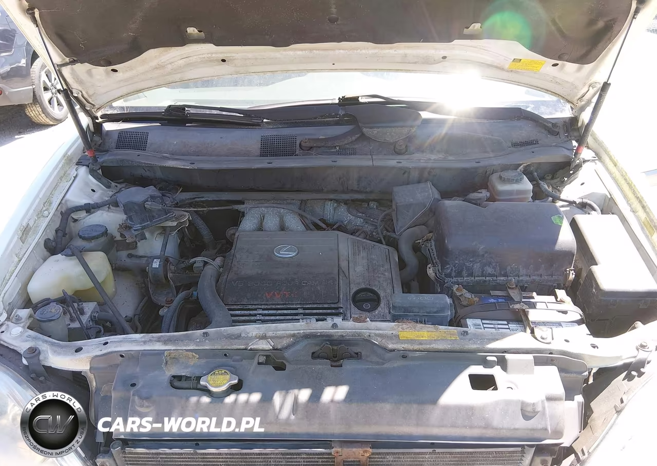 2001 Lexus Rx 300 VIN:JTJGF10U110116683 - 10