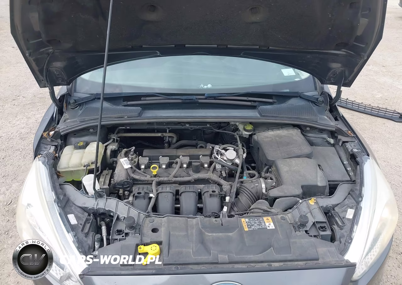 2016 Ford Focus Se VIN:1FADP3K24GL359914 - 10