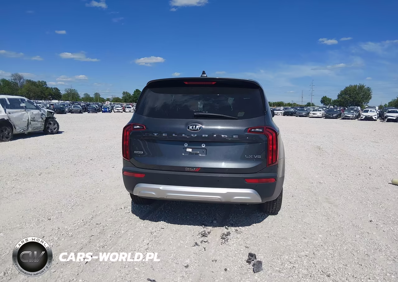 2020 Kia Telluride Lx VIN:5XYP2DHC6LG069353 - 17