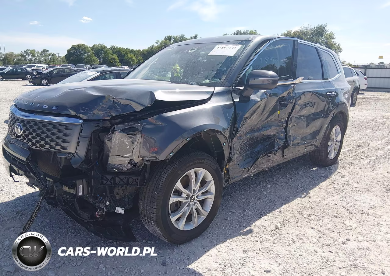 2020 Kia Telluride Lx VIN:5XYP2DHC6LG069353 - 2