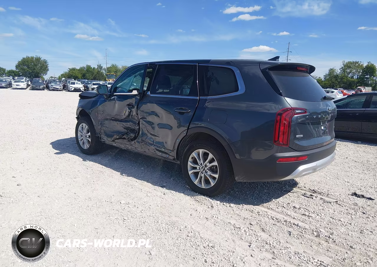 2020 Kia Telluride Lx VIN:5XYP2DHC6LG069353 - 3