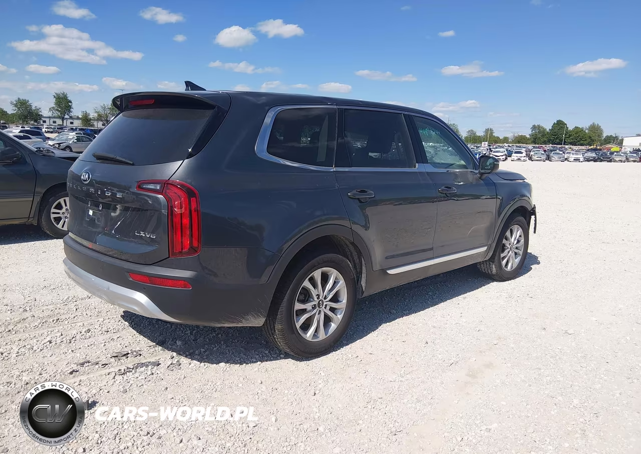 2020 Kia Telluride Lx VIN:5XYP2DHC6LG069353 - 4