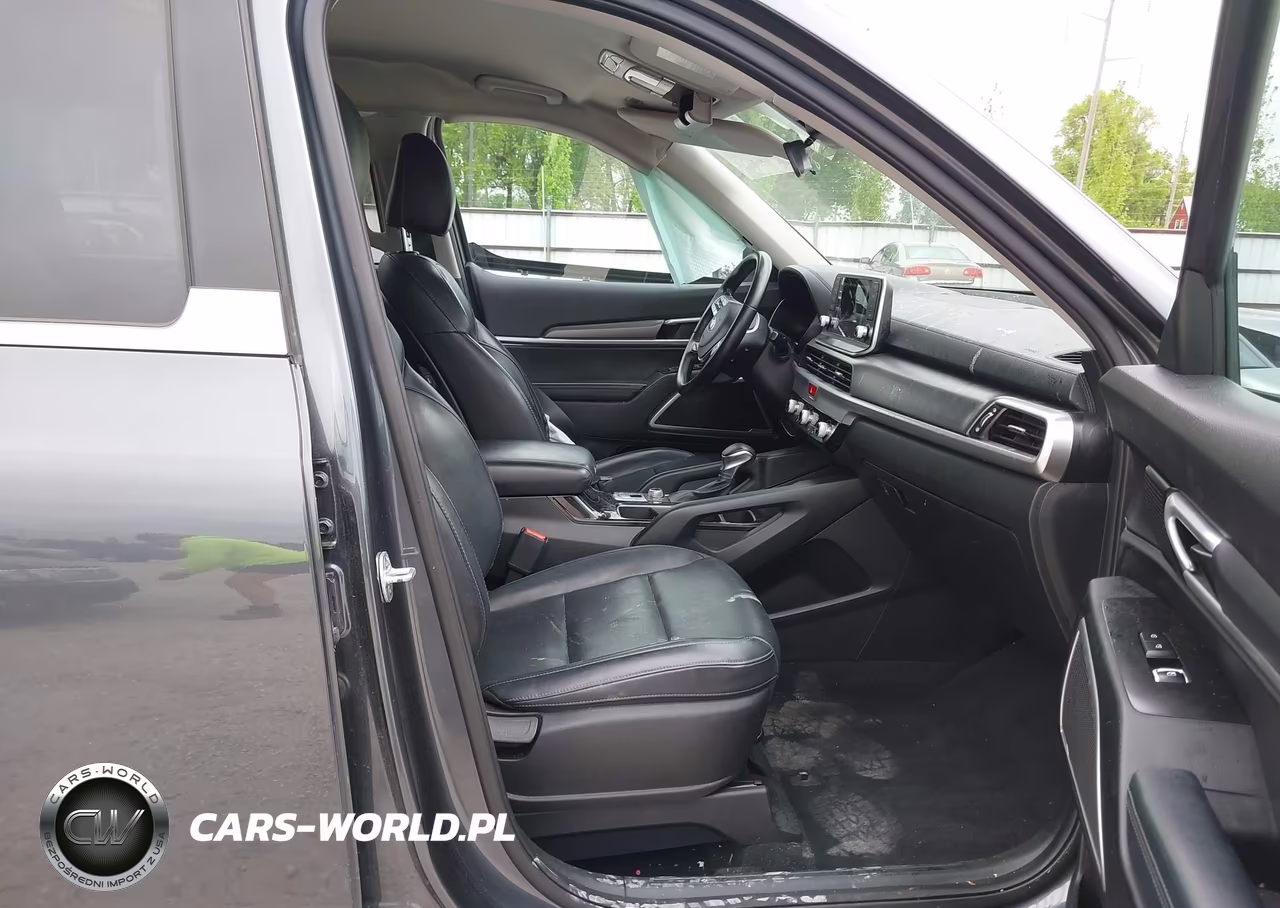 2020 Kia Telluride Lx VIN:5XYP2DHC6LG069353 - 5