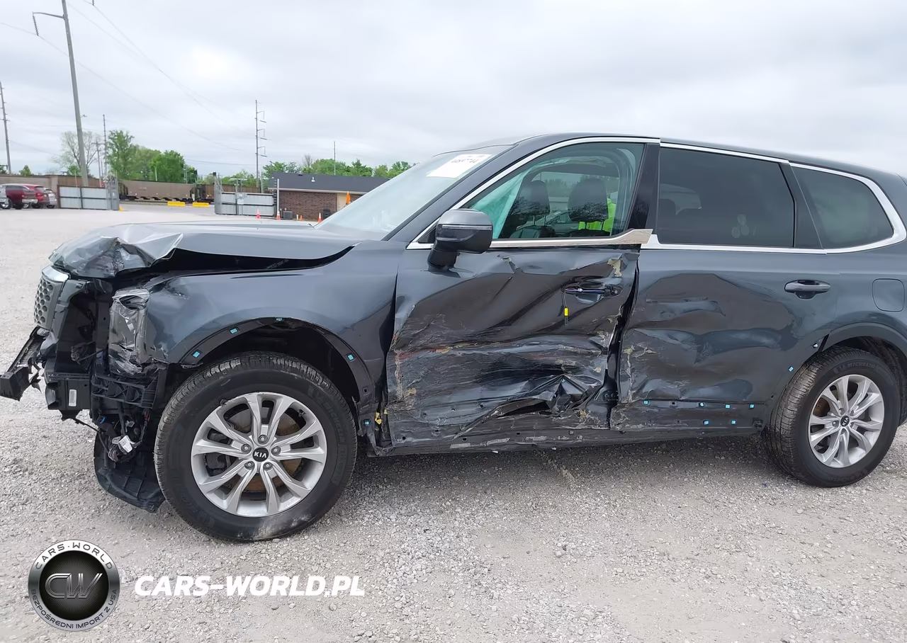 2020 Kia Telluride Lx VIN:5XYP2DHC6LG069353 - 6