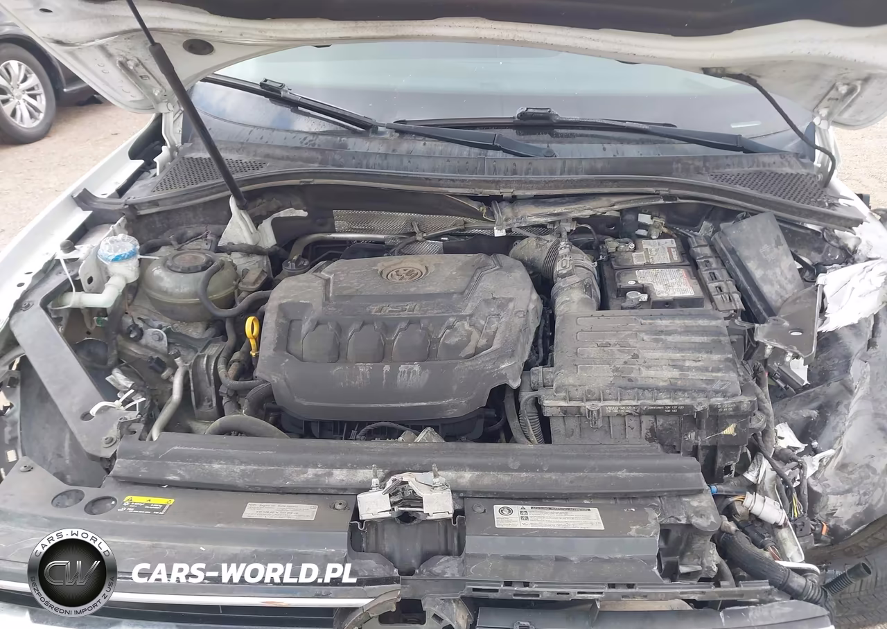 2019 Volkswagen Tiguan 2.0T S VIN:3VV1B7AX6KM060904 - 10