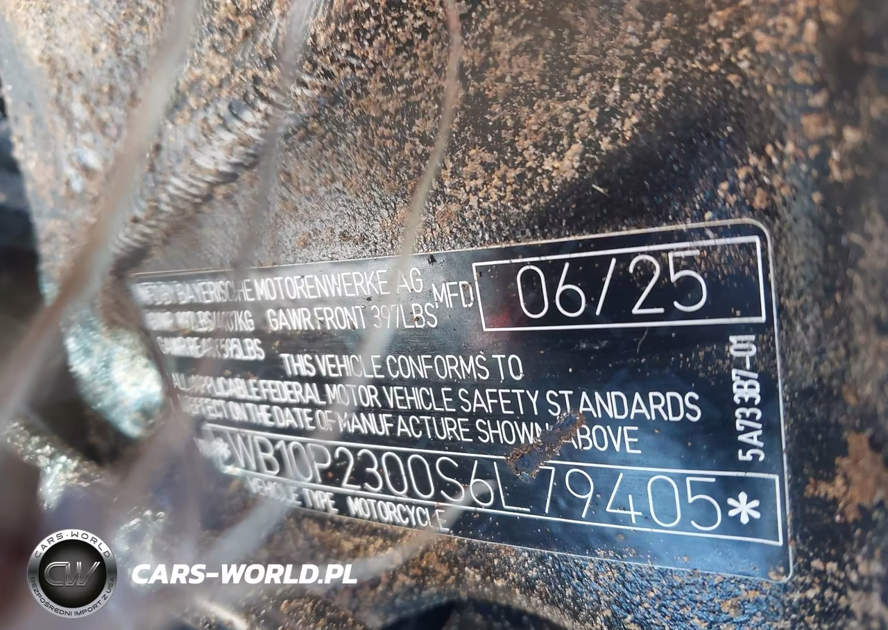 2025 BMW S 1000 Rr VIN:WB10P2300S6L79405 - 10