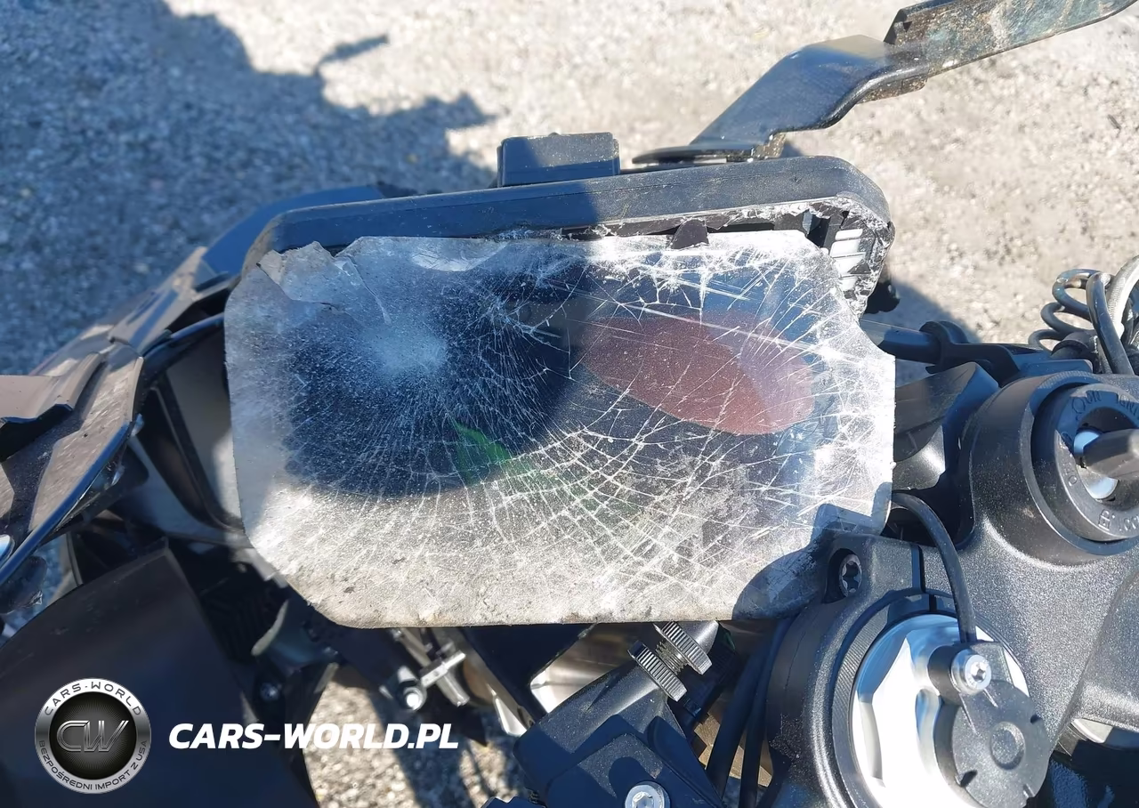 2025 BMW S 1000 Rr VIN:WB10P2300S6L79405 - 7