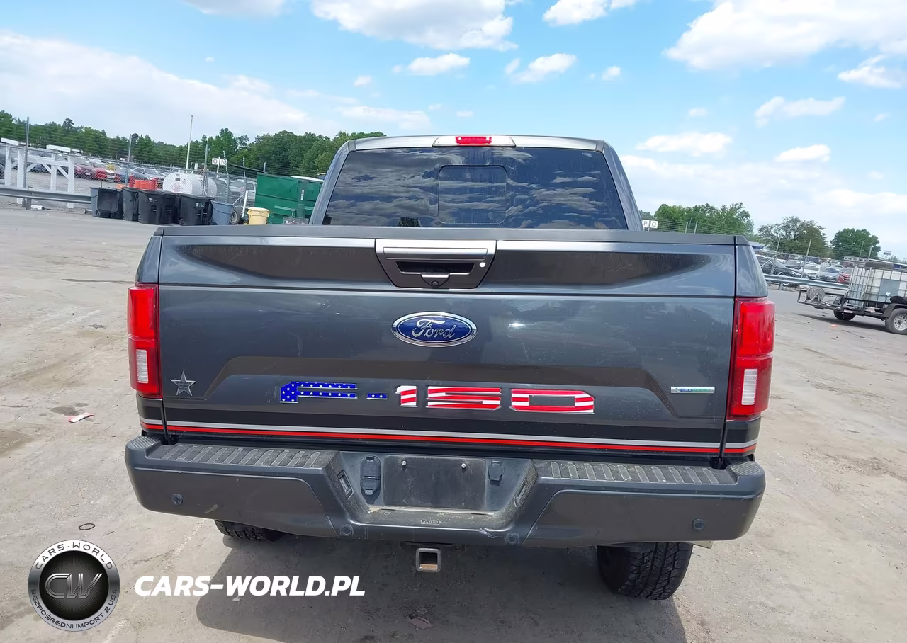 2019 Ford F-150 Lariat VIN:1FTEW1E43KFC80471 - 17