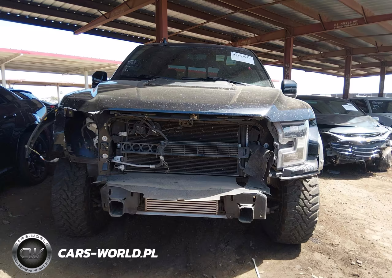 2019 Ford F-150 Raptor VIN:1FTFW1RG2KFC46773 - 12