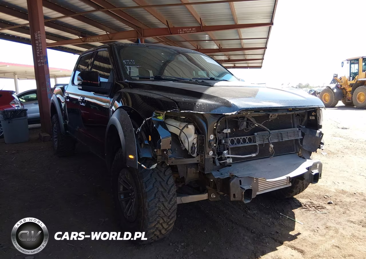 2019 Ford F-150 Raptor VIN:1FTFW1RG2KFC46773 - 17