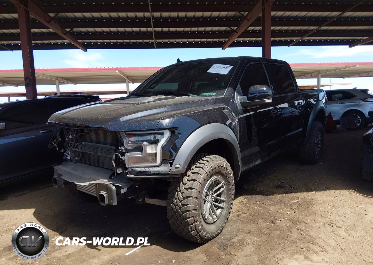 2019 Ford F-150 Raptor VIN:1FTFW1RG2KFC46773 - 2