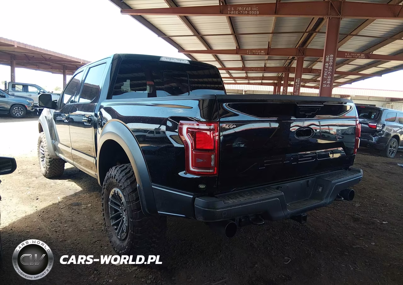 2019 Ford F-150 Raptor VIN:1FTFW1RG2KFC46773 - 3