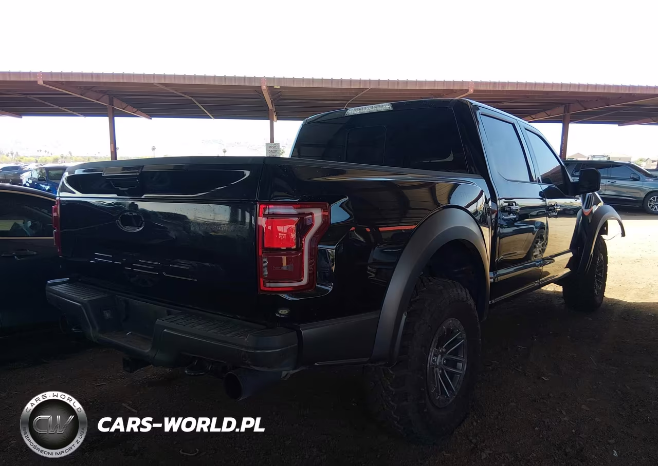 2019 Ford F-150 Raptor VIN:1FTFW1RG2KFC46773 - 4