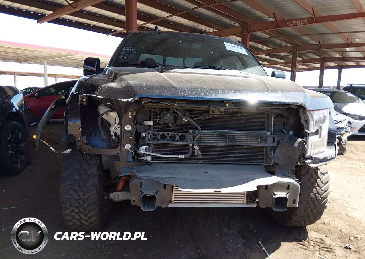 2019 Ford F-150 Raptor VIN:1FTFW1RG2KFC46773 - 6
