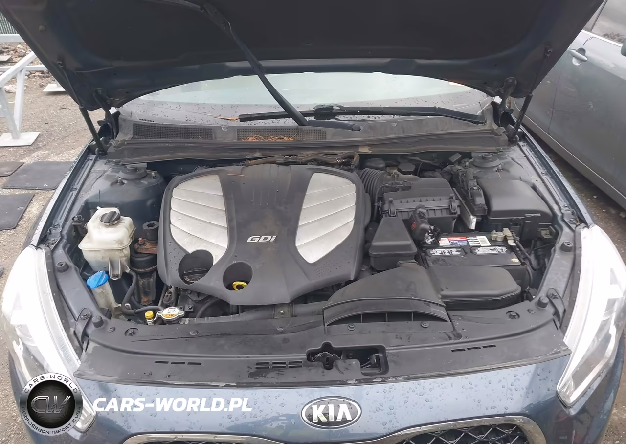 2015 Kia Cadenza Premium VIN:KNALN4D75F5186432 - 10