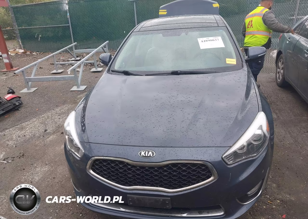 2015 Kia Cadenza Premium VIN:KNALN4D75F5186432 - 13
