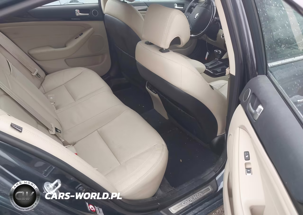 2015 Kia Cadenza Premium VIN:KNALN4D75F5186432 - 8