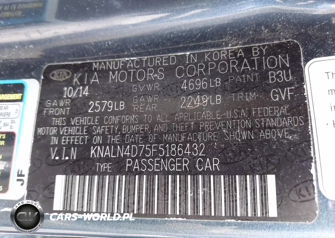 2015 Kia Cadenza Premium VIN:KNALN4D75F5186432 - 9